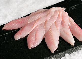 Fresh Pacific Red Snapper Fillet Fresh Pacific Red Snapper Fillet